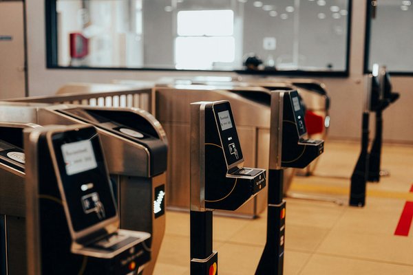 Où trouver les meilleures excursions pour observer les ours bruns en Alaska?